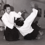 aikido_01_09.png