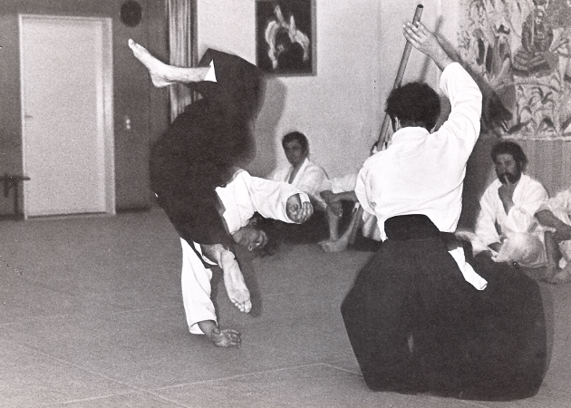 aikido_01_19.png